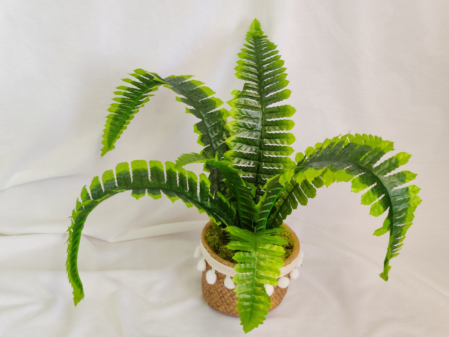 Artificial Boston Fern in Pompom Belly pot