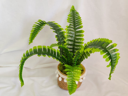 Artificial Boston Fern in Pompom Belly pot