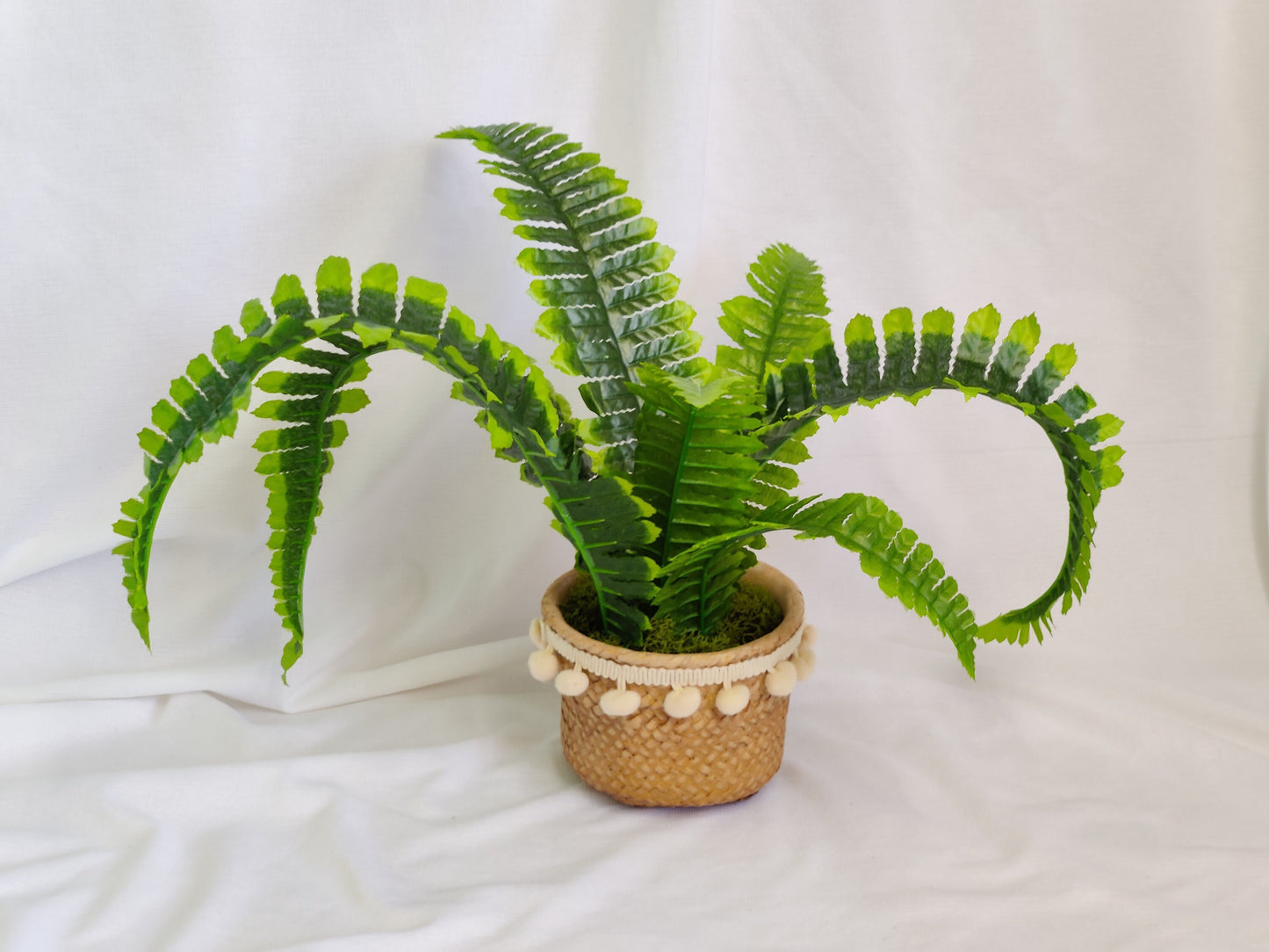 Artificial Boston Fern in Pompom Belly pot