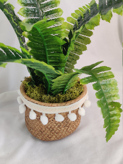 Artificial Boston Fern in Pompom Belly pot